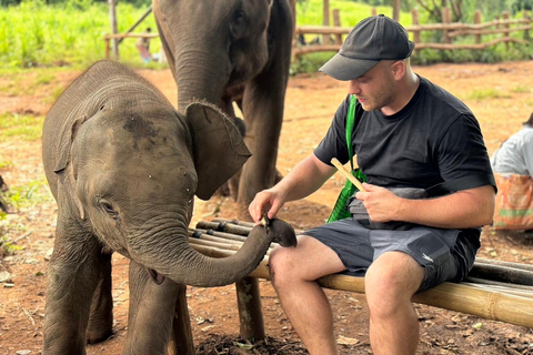 Chiang Mai: Santuário de elefantes, cascata e excursão de raftingPonto de encontro na cidade