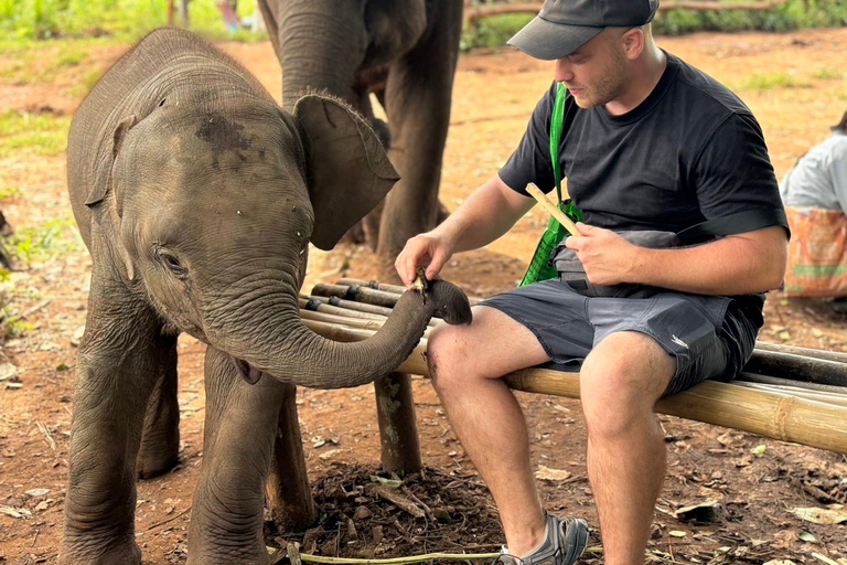 Chiang Mai: Elephant Sanctuary, Waterfall and Rafting Tour Hotel Pickup