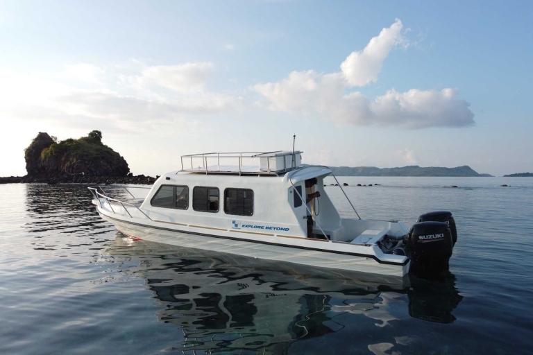 Die Insel Komodo: Private Tagestour mit dem Schnellboot