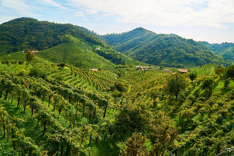 From Venice: Wine and Food tour in the Prosecco Hills