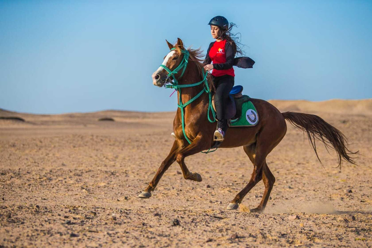 Hurghada: Quad, Horse & Camel Ride with BBQ & Stargazing