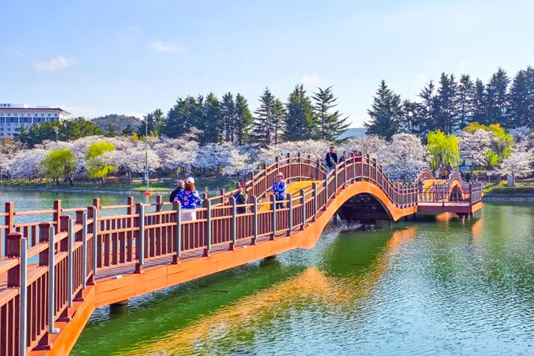 Busan: Spring Cherry Blossom & Gyeongju Highlights Day Tour