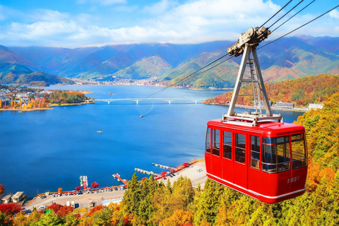 Mount Fuji Day Tour: Instagrammable Spots + Scenic Train From Tokyo (Including ropeway and cruise)
