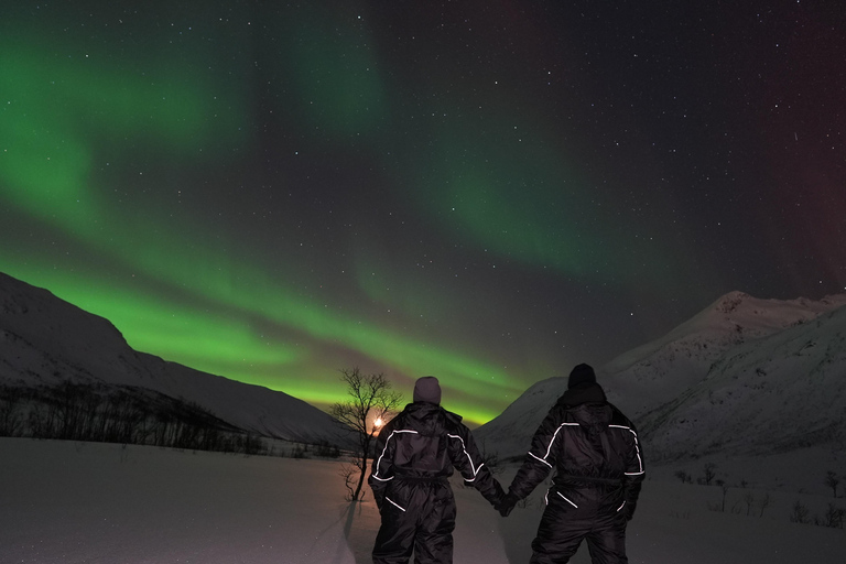 Tromsø: Northern Lights Tour with Free Professional Photos