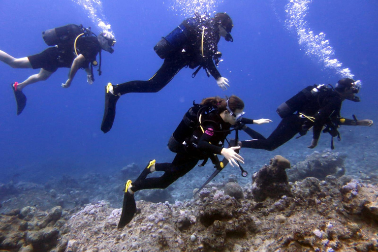 Blue Bay: Discover Scuba Diving