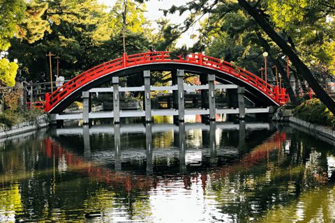 Tour particular em Osaka com um motorista que fala inglêsTour particular em Osaka com motorista inglês