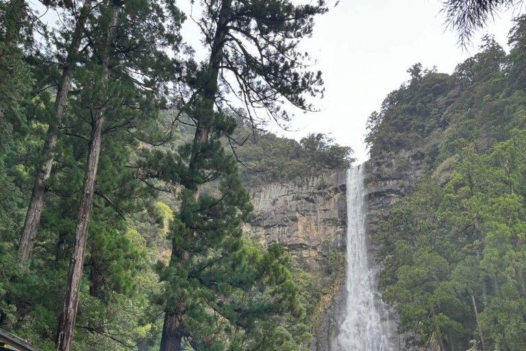 Guided Wakayama Heritage & Forest Trails with Hotel Pickup