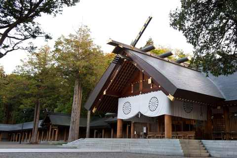 Sapporo: Private Customized Day Tour in Sappro City Private Customized Tour in Sapporo City