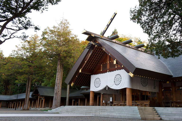 Sapporo: Private Customized Day Tour in Sappro City Private Customized Tour in Sapporo City