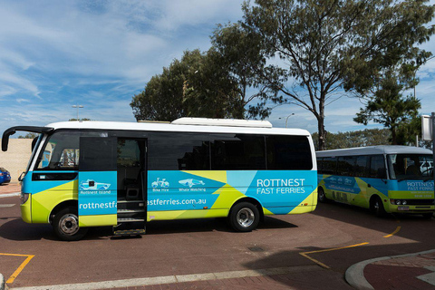Perth: Whale Watching Cruise from Hillarys Boat Harbour