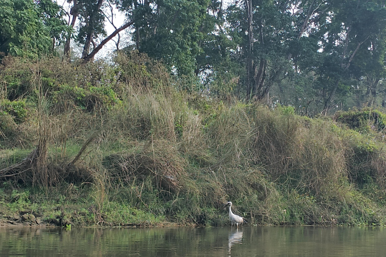 From Kathmandu: 4-Day Chitwan National Park Tour