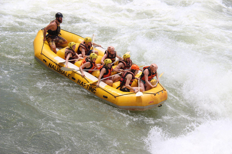 1-TÄGIGE WILDWASSER-RAFTING-TOUR AUF DEM NIL IN JINJA