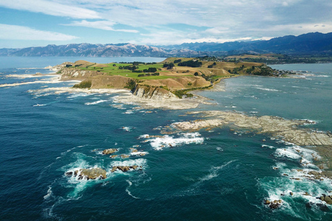 From Christchurch: Kaikōura Day Tour