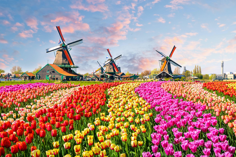 From Amsterdam: Private Full-Day Tour in the Netherlands