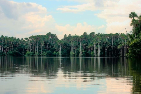 Puerto Maldonado: 2-Day Jungle Tour with Meals &amp; Guide