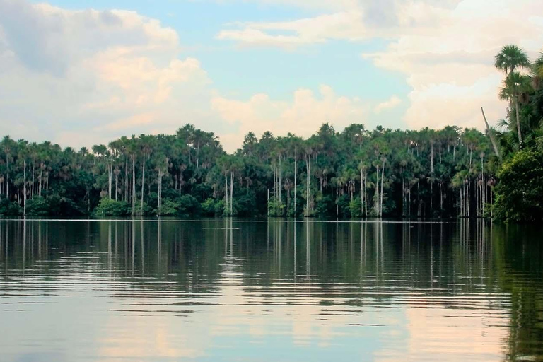 Puerto Maldonado: 2-Day Jungle Tour with Meals &amp; Guide