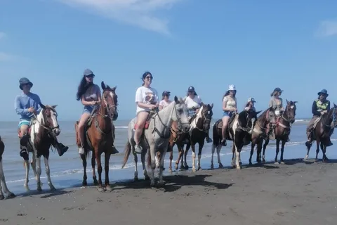 Carthagène : Randonnée à cheval sur les plages de Carthagène & PHOTOS
