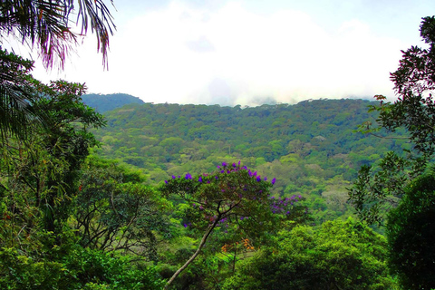 Rio de Janeiro: Zwiedzanie z przewodnikiem do Parku Narodowego Tijuca