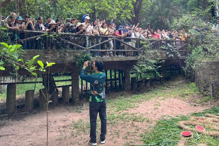 Moo Deng im offenen Zoo von Khao Kheow sehen