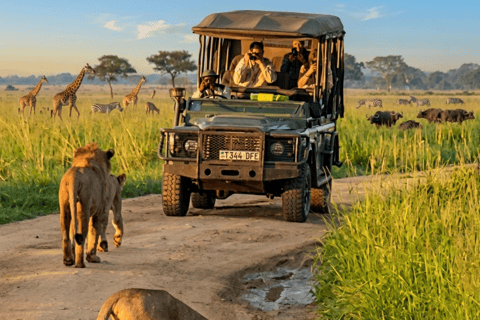 Dar es Salaam: 2 Day Mikumi Open Jeep Safari & Waterfalls