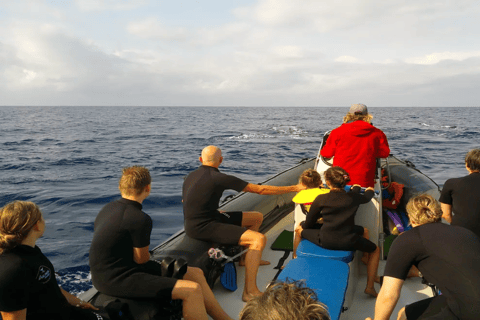 Maputo : Nage avec les dauphins à Ponta do Ouro