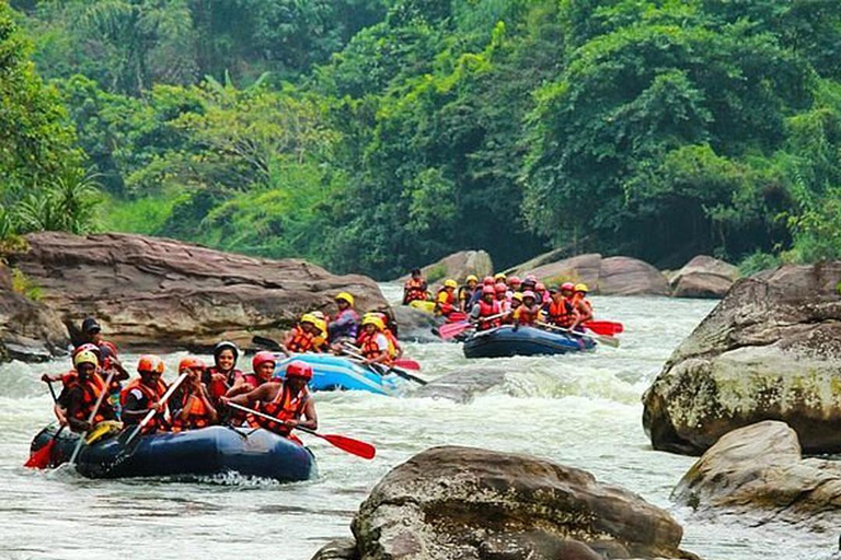 All Inclusive Wildwasser-Rafting Abenteuer in Kithulgala