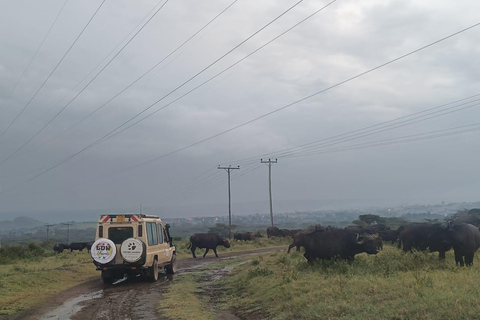 Viaje de lujo de 5 días a Amboseli, Lago Naivasha y Masai Mara