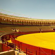 Seville city tour including visit to Triana Neighborhood