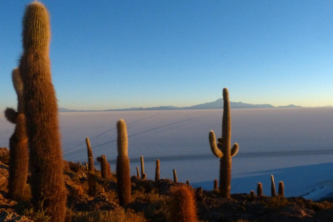 De La Paz à La Paz : Visite nocturne des salines d&#039;Uyuni 1D + bus de nuit