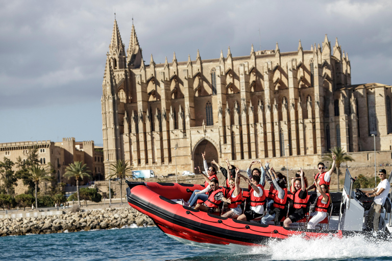 Palma de Mallorca: Sightseeing Speedboat Tour mit AbholungStandard Sitze