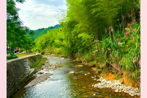 Guangzhou Conghua: One-Day Chartered Guide in Xitou Village