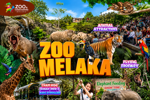 From Kuala Lumpur: Zoo Melaka & Heritage Photo Stops Tour Zoo Melaka & Heritage Photo Stops Tour (Private)