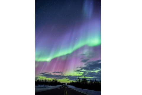 Tromsö: Nordlicht-Verfolgungsjagd im großen Bus mit kostenlosen Fotos