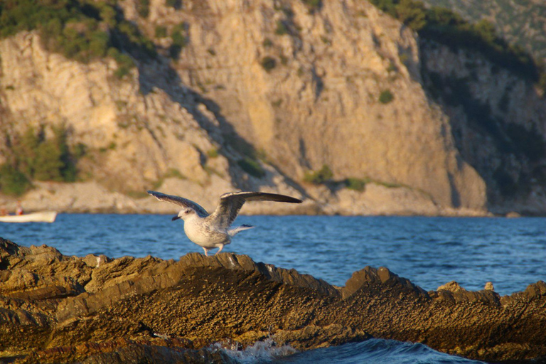 Therapeutic Nature Park Katič: Air Spa, Caves, and Islands