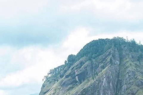 From Bentota: Private Ella Highlands Scenic Day Tour