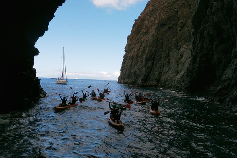 Tenerife: Tour guiado en Kayak