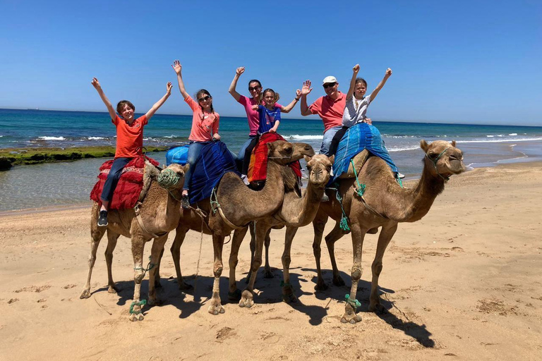 Sunset with Camel ride in Tangier ends with walking tour