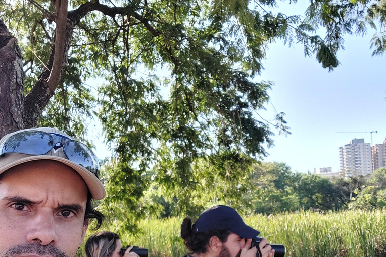 Observation des oiseaux et du côté brésilien des chutes.