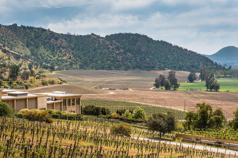 Viña Haras de Pirque Wine Experience