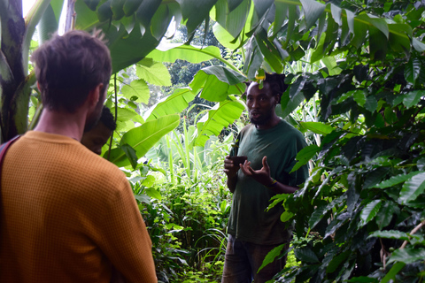 Arusha : Visite des cafés et/ou cours de poterie avec déjeunerTournée des cafés