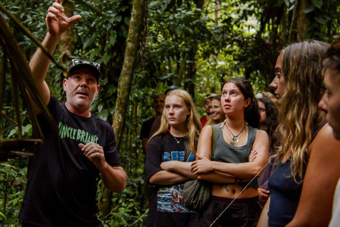 Cairns: 2-Day Atherton Tablelands & Cape Tribulation Tour