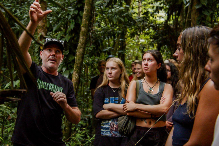 Cairns: 2-Day Atherton Tablelands & Cape Tribulation Tour