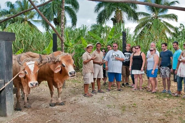 Punta Cana Safari: Local Culture, Nature, Tastings, and Macao Beach