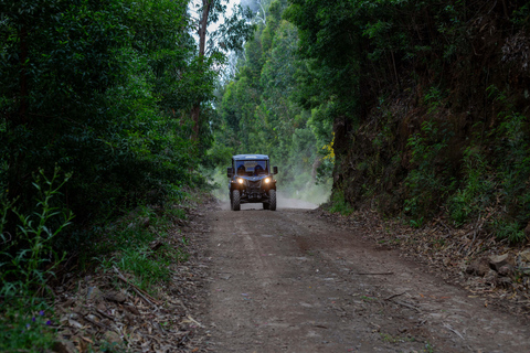 Madère : Trail Thrill Buggy Tour