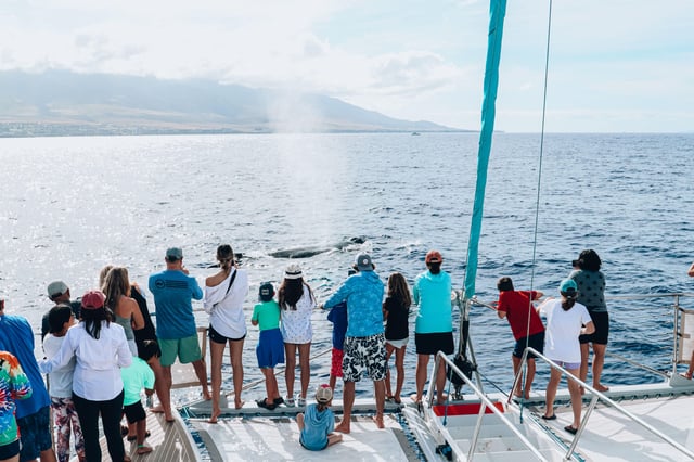 Maui: Ka&#039;anapali Discount Whale Watch - Beach Loading Vessel