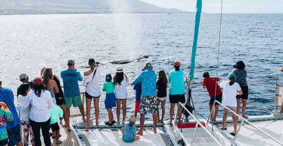 Maui: Ka&#39;anapali Discount Whale Watch - Beach Loading Vessel