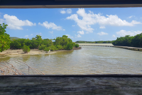 Beach tour and visit to a rum distillery in Le Marin