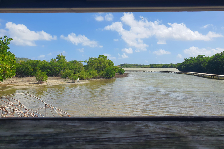 Beach tour and visit to a rum distillery in Le Marin