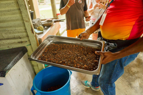 Punta Cana safari experience and historical city tour Half-day city tour and safari