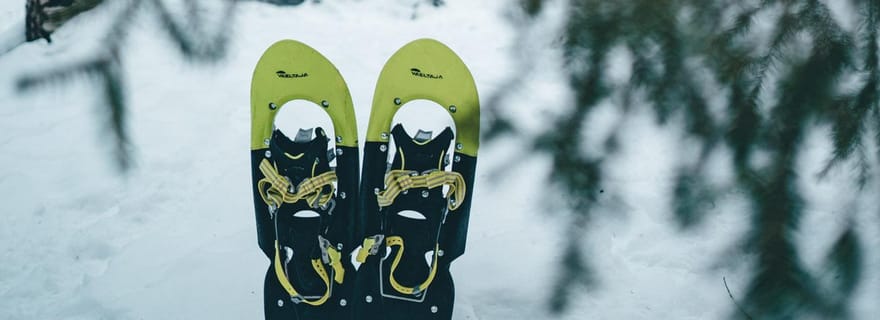 Rovaniemi : Randonnée en raquettes dans une forêt enneigée magique